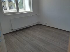 Drumul Taberei, Favorit